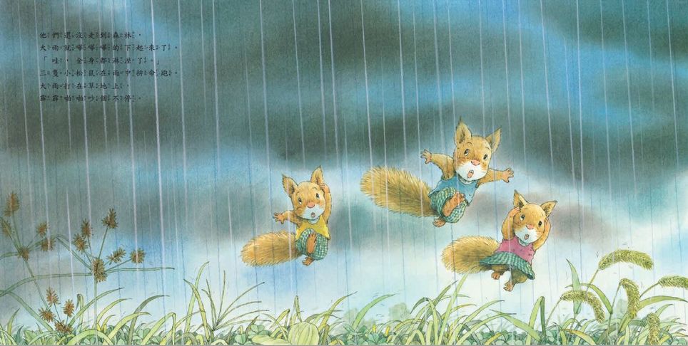 森林裡的小松鼠：西北雨來了